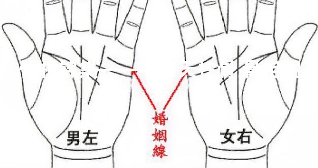 骨相锦集——中峰天柱骨 骨相图表